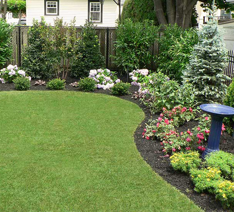 Landscaping