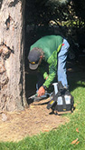 Deep Root Injections